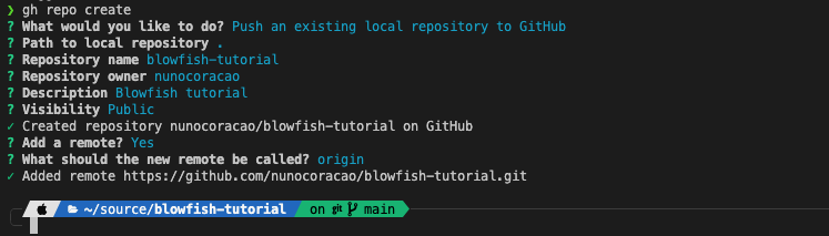 gh repo create example